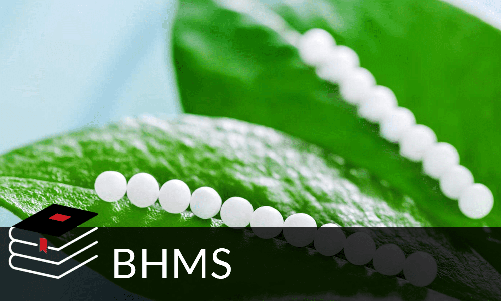 Top education consultants for BHMS